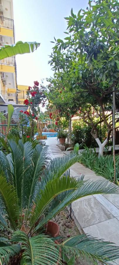 Santana Hotel เบลดิบี ภายนอก รูปภาพ